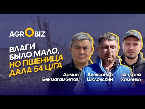 Бейне: Лад сөзінің анықтамасы қандай?