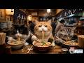This chubby cat really loves ramen. 🍜🐱