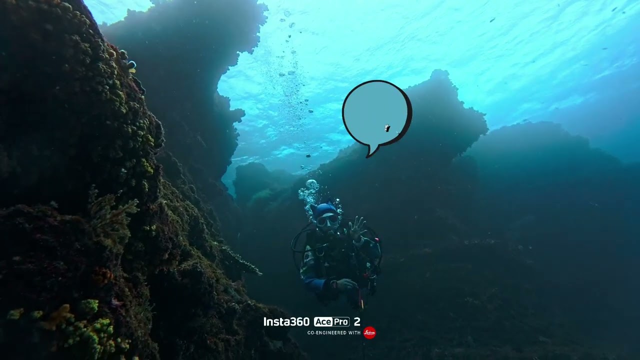 @teamごんずいだま