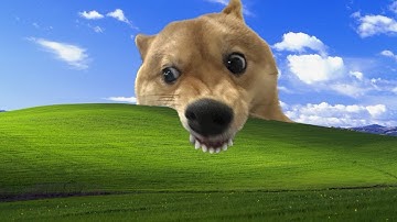 Lập trình web với .net C# | Bài tập về nhà tuần 2