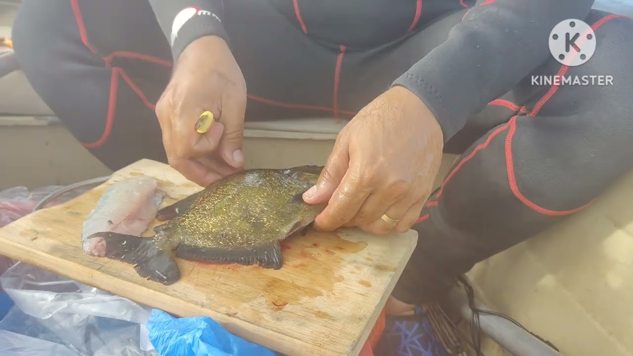 Como tirar Filé de piranha na prática 