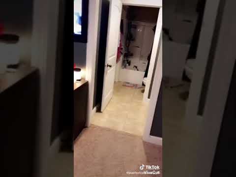 Random videos downloaded into my phone