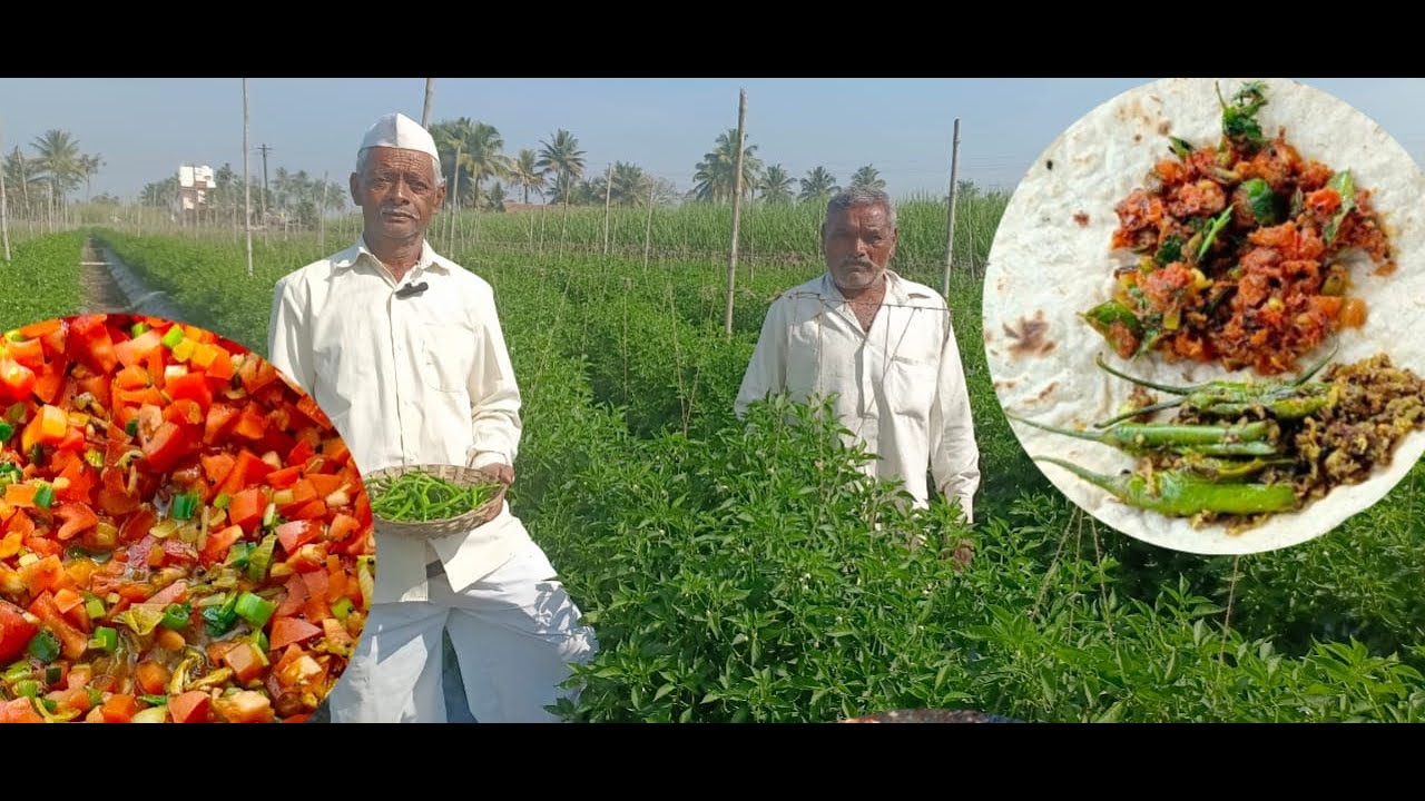 थंडीच्या दिवसात असं तोंडी लावायला असल्यावर दोन भाकरी जास्तच खाणार | मसाला मिर्ची  टोमॅटो मसाला चटणी