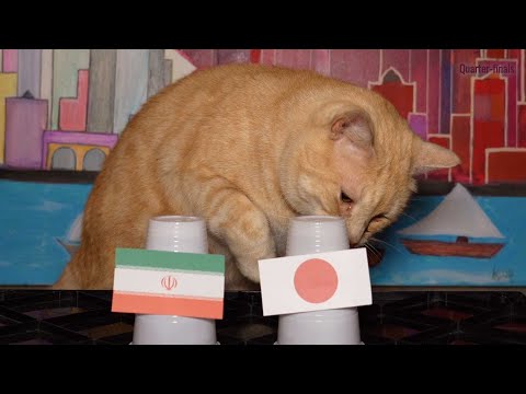 Iran Vs Japan - Cats Asian Cup 2024 Prediction