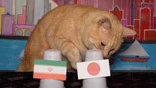 Iran Vs Japan - Cats Asian Cup 2024 Prediction