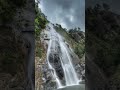 Bambarakanda waterfall in srilanka 🥰 srilanka's highest waterfall🥰
