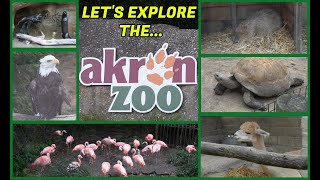 🐒 Akron Zoo 🐯 Akron Ohio | Small Zoo In My Backyard!