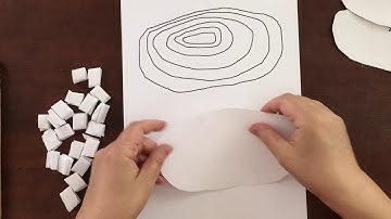 Assembly Of the Topographic Map