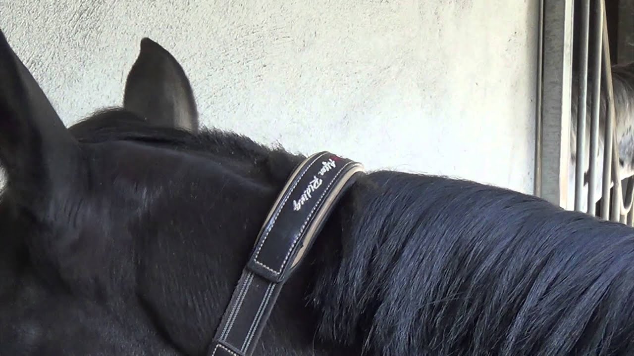 Tuto Comment couper un passage de têtiére YouTube Tuto Comment couper un passage de têtiére YouTube