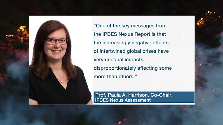 All about the IPBES Nexus Assessment