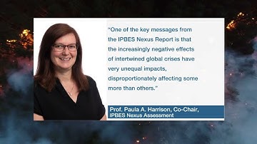 All about the IPBES Nexus Assessment