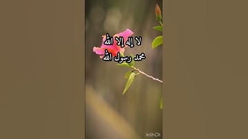 تلاوة خاشعة جميلة/طبيعة وطيور(سبحان الله وبحمده سبحان الله العظيم