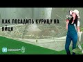 Как посадить курицу на яйца