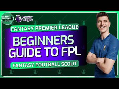 Beginners Guide to