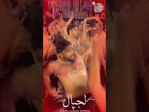 ماتمی لجپال حیدر