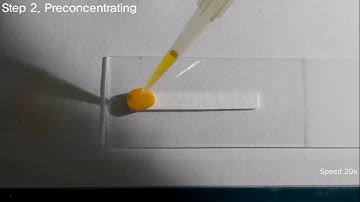 video 2 rolling paper preconcentration
