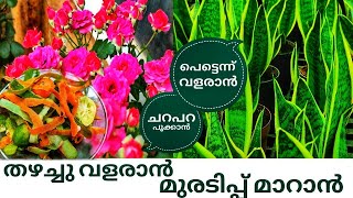 Fertilizer for your plants | Organic fertilizer Malayalam | Garden ideas screenshot 5