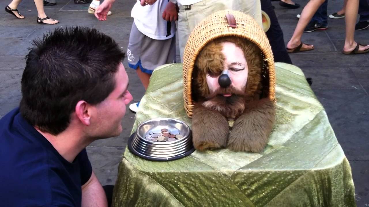 Covent Garden London Talking Dog YouTube