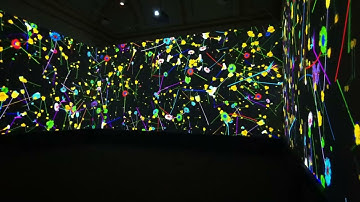 Cosmos, by Michael Craig-Martin (flowers excerpt)