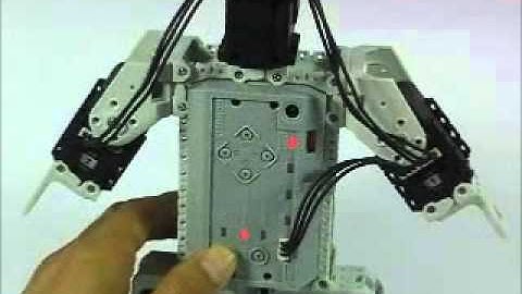 Gilbo & Robotis - Bioloid Beginner  Kit - Selam Veren Penguen www.robotsepeti.com www.gilbo.com.tr