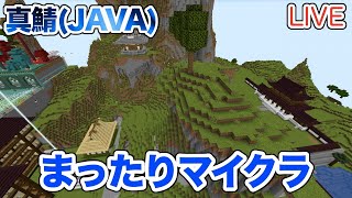 【マイクラ】LIVE：まったりマイクラ！建築するのに邪魔な山を削ろう！（真鯖373）