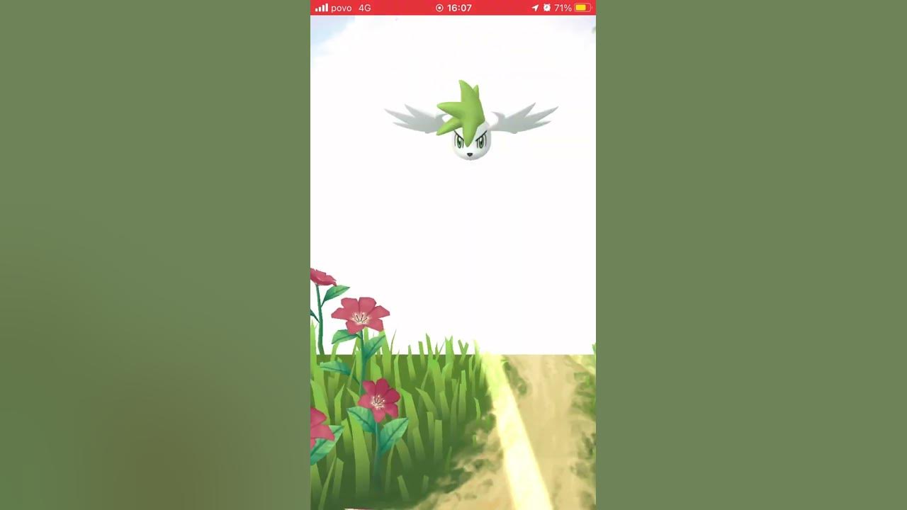 ポケモンGO 】シェイミ(スカイフォルム)をgetした Shaymin sky form YouTube ポケモンGO 】シェイミ(スカイフォルム)をgetした Shaymin sky form YouTube