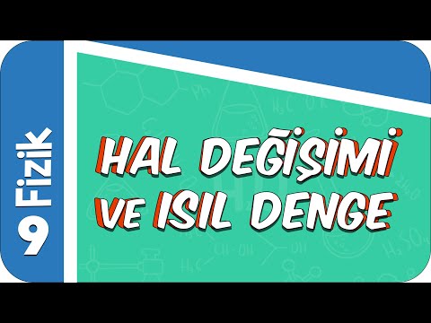 9. Sınıf Fizik: Hal Değişimi ve Isıl Denge #2022