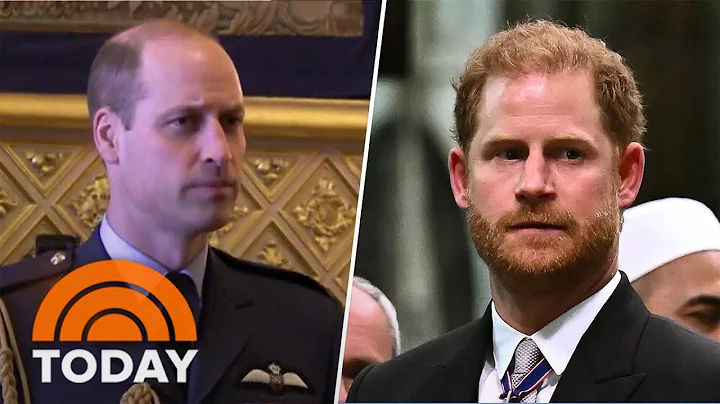 Prince William resumes duties, Prince Harry arrives in UK - DayDayNews