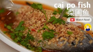 Cai po fish | 菜圃鱼