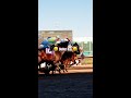 Dollar Day at SHRP!
