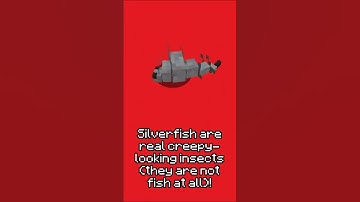 EASY MULTIPLAYER DUPLICATION GLITCHES in Minecraft 1.18.1 #shorts