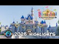 Disneyland (Highlights from 2025)