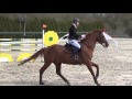 Benjamin le comte  quir royal liniere  henin beaumont gp 135m 2016 03 27