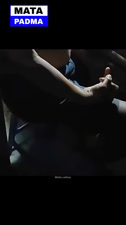 Heboh Bapak Kos Di Semarang Makan Kucing