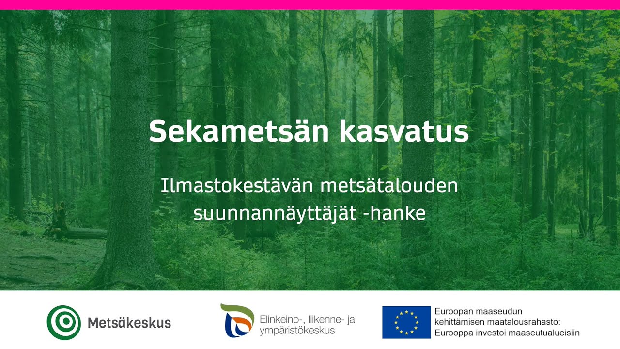 Sekametsän kasvatus