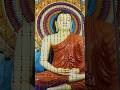 Buddha in Sri Lanka 🙏🌎#buddha#youtubeshorts#srilanka