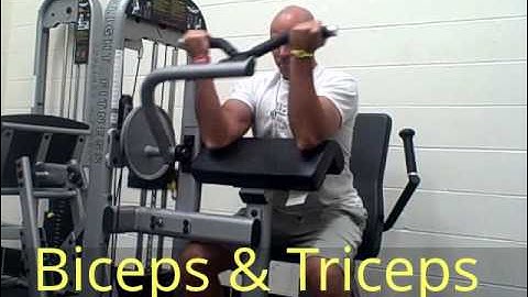 Biceps & Triceps Machine