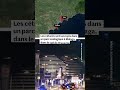 Marineland : huit dauphins transférés en Espagne en pleine nuit