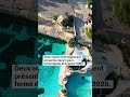 Marineland : huit dauphins transférés en Espagne en pleine nuit