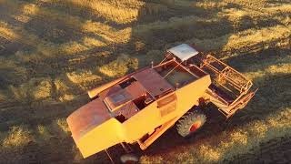 Moisson de l'orge en someca M 150