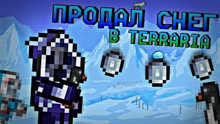 Сколько стоит снежный биом в Terraria ?