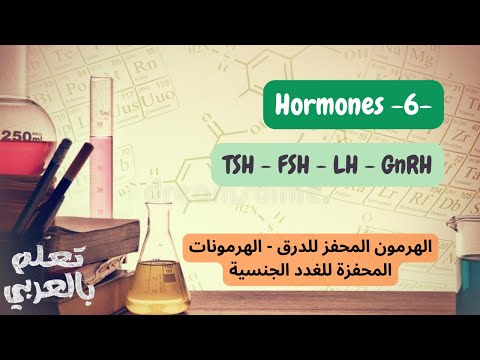 The Hypothalamic-Pituitary Axis hormones 2 (TSH, FSH, LH, GnRH)  - هرمونات المحور الوطائي النخامي