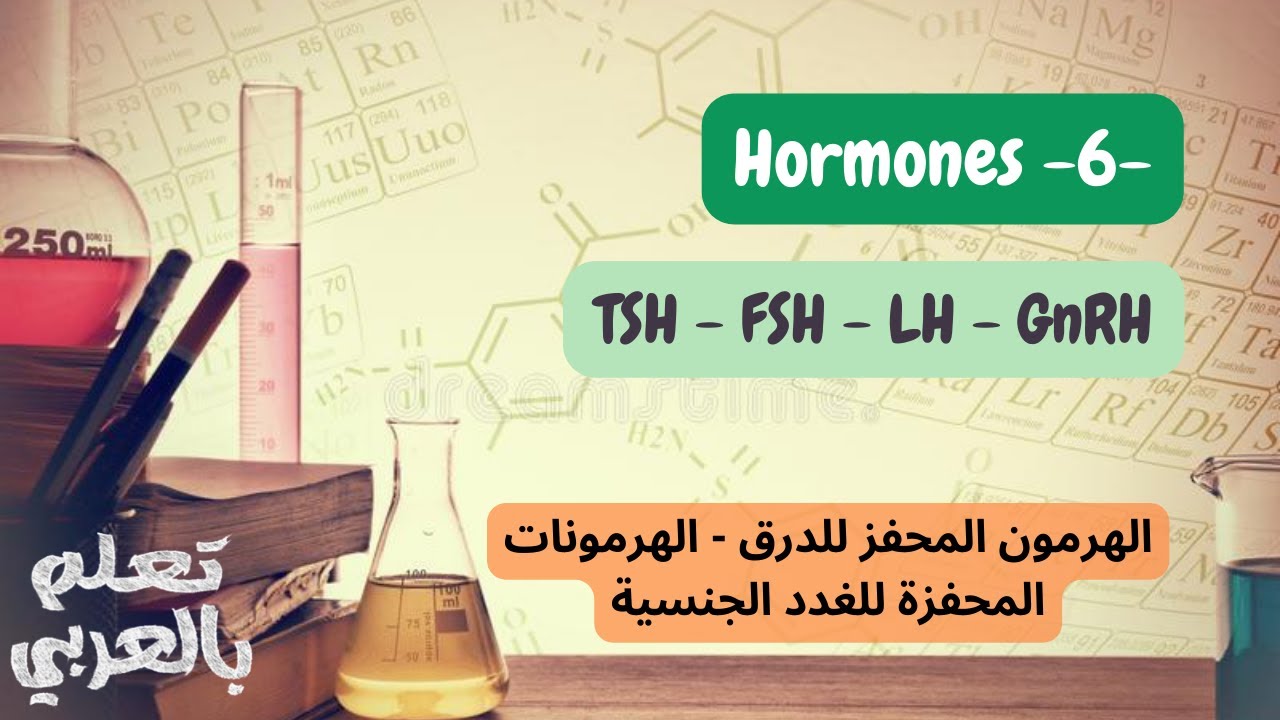 The Hypothalamic-Pituitary Axis hormones 2 (TSH, FSH, LH, GnRH)  - هرمونات المحور الوطائي النخامي
