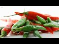 4k uscreensaver 2 hours long  rotating chillies  with calming music