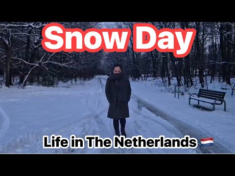 Snow Day In The Netherlands The Dutch Filipina Couple 