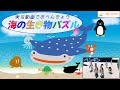 海の生き物 パズル ＆ 実写動画 12種① フラッシュカード 動画 うみのいきもの を日本語で覚えよう Sea animals Flashcard video