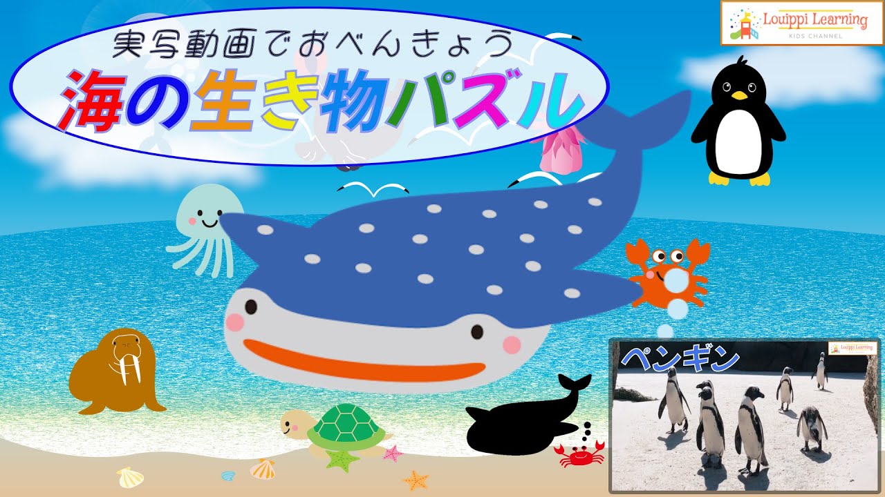 Japanese】Sea animals Puzzle & Video ① Educational videos for