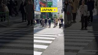 Japan 🇯🇵 Traffic Rules Followed by People👌