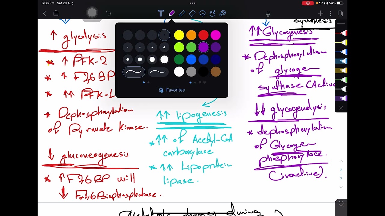 Integration of metabolism part 1