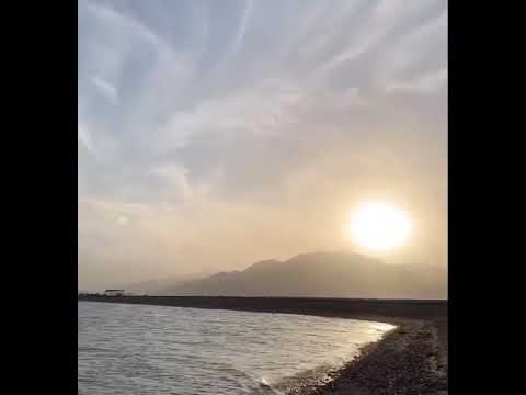 رايحين على فين